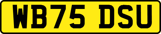 WB75DSU