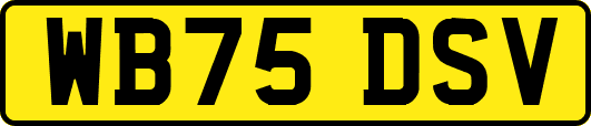 WB75DSV