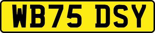 WB75DSY