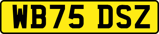 WB75DSZ