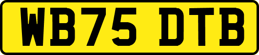 WB75DTB