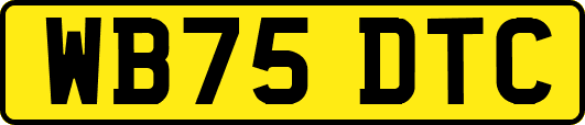 WB75DTC
