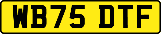 WB75DTF
