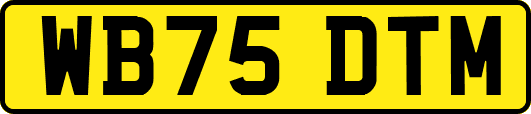 WB75DTM
