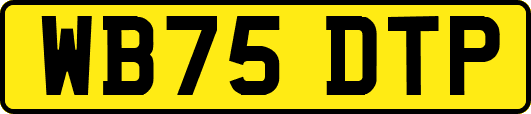 WB75DTP
