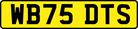 WB75DTS