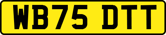 WB75DTT
