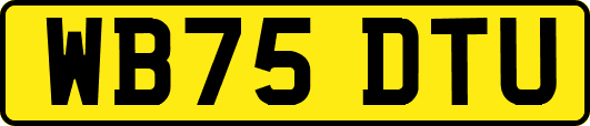 WB75DTU