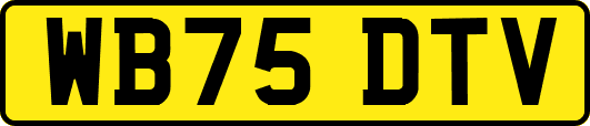 WB75DTV