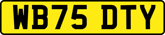 WB75DTY