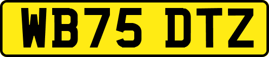 WB75DTZ
