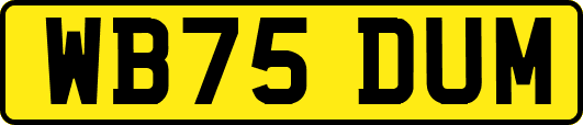 WB75DUM