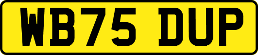 WB75DUP