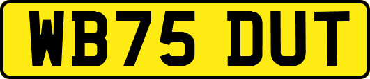 WB75DUT