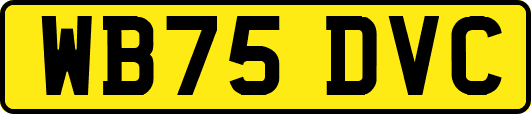 WB75DVC