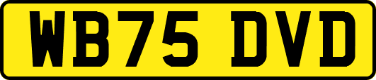 WB75DVD