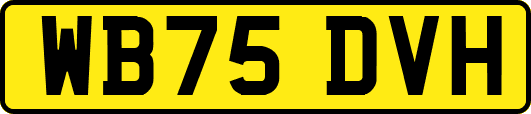 WB75DVH