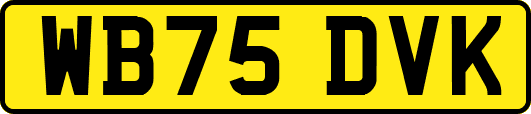WB75DVK