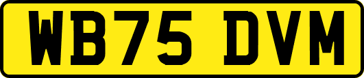 WB75DVM