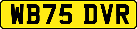 WB75DVR