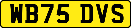 WB75DVS