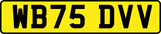 WB75DVV
