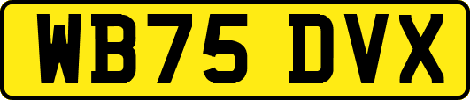 WB75DVX