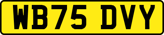 WB75DVY