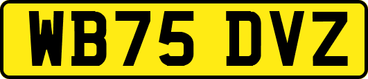 WB75DVZ