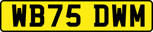 WB75DWM
