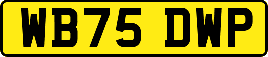 WB75DWP