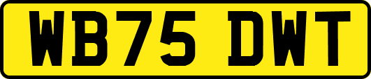 WB75DWT