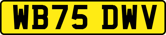 WB75DWV
