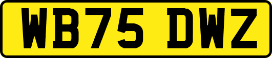 WB75DWZ