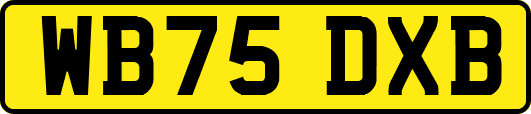 WB75DXB
