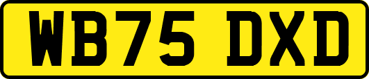 WB75DXD