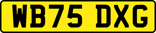 WB75DXG