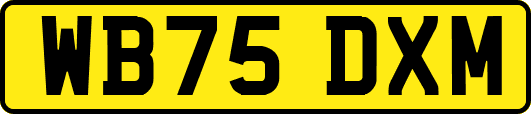 WB75DXM