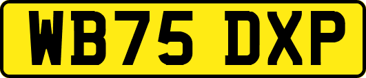 WB75DXP