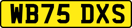 WB75DXS