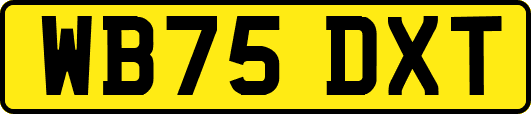 WB75DXT
