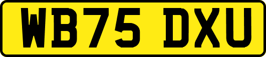 WB75DXU