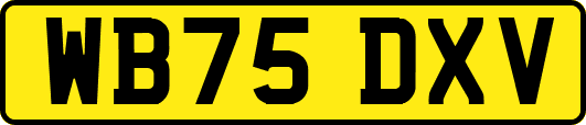 WB75DXV
