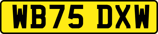 WB75DXW