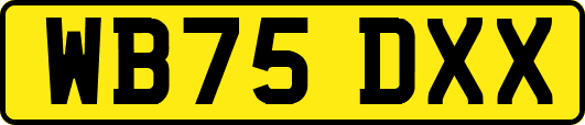 WB75DXX