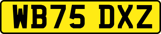 WB75DXZ