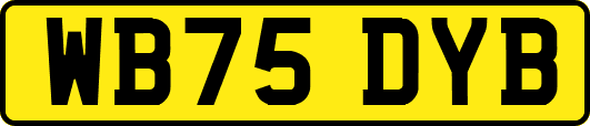 WB75DYB