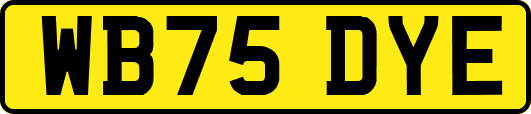 WB75DYE