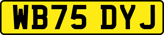 WB75DYJ