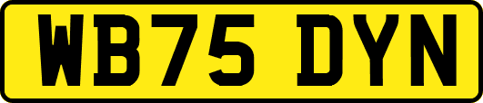 WB75DYN